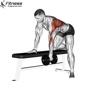 حرکات اصلاحی عضله ذوزنقه ای برای تسکین درد؛حرکت اره دمبل