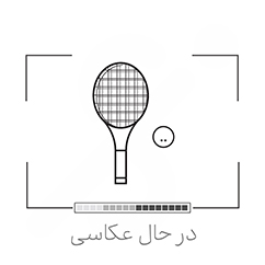 توپ تنيس خاکي ولکين بسته سه عددي